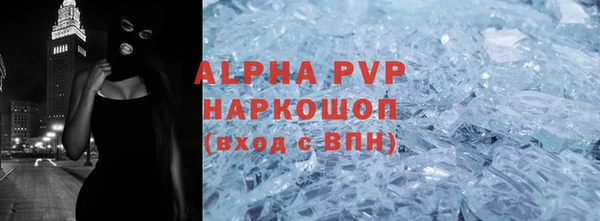 шишки Белоозёрский