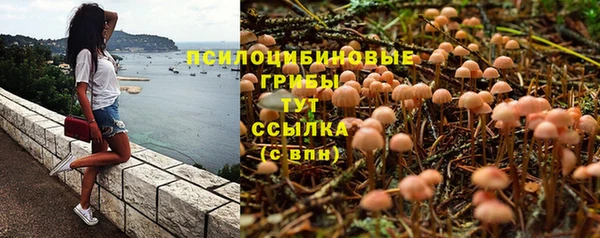шишки Белоозёрский