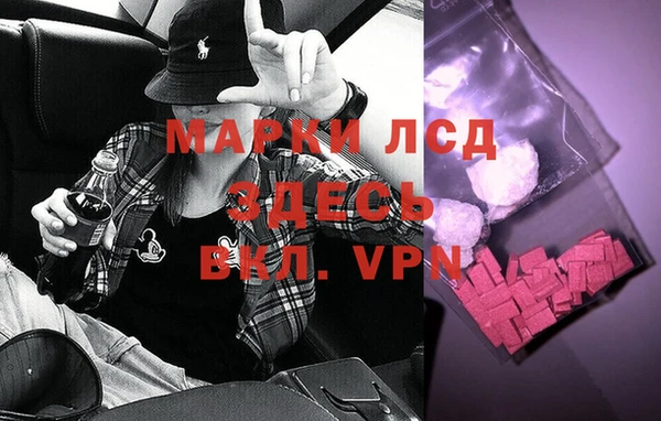 шишки Белоозёрский