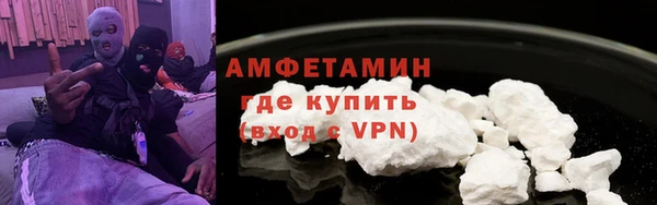 шишки Белоозёрский