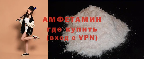 шишки Белоозёрский