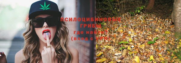 шишки Белоозёрский
