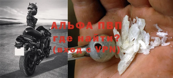 шишки Белоозёрский
