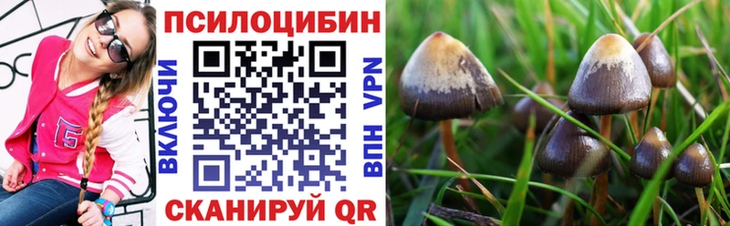 Псилоцибиновые грибы ЛСД  Купить закладки  Кукмор 